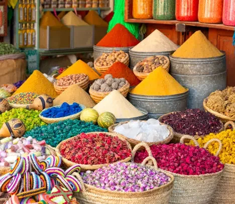 Voyage au Japon : guide complet pour un séjour entre tradition et modernité